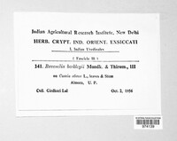 Image Associated With the Occurence